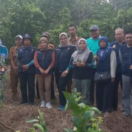 Sukses Panen Jeruk di Kebun Petani Milenial, Apresiasi dari Camat Mataraman 